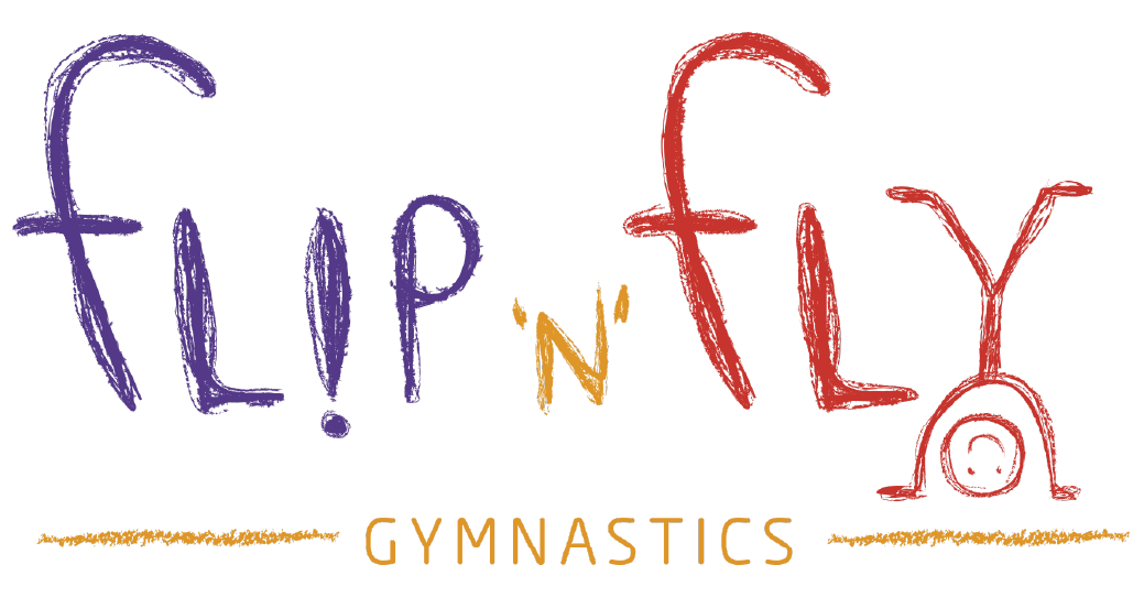 Flip 'N' Fly